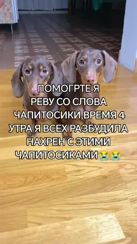 ВХХААЭЭ Я НЕ МОГУ С ЧАПИТОСИКОЫЭВ#чапитосики 