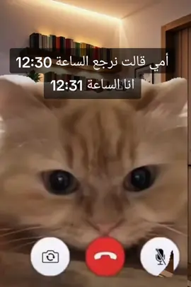 #الشعب_الصيني_ماله_حل😂😂 #fypage #fypage 
