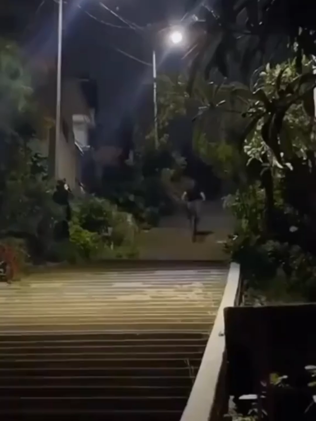 Tô no helicoptero 😂 . . . #funnyvideos😂 #fyp #foruyou #viral #trendingvideos #pets #dog #funny #videosengracados #trendingvideo #funnydog #cat