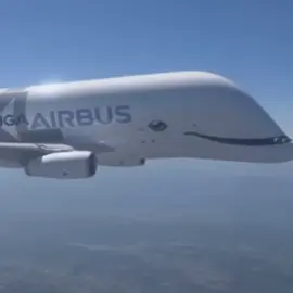 the flying beluga 🐬 #fvp #aviation #aviationedit #beluga #paratii 