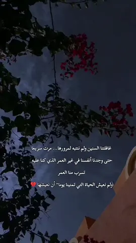 #في هذا اليوم 