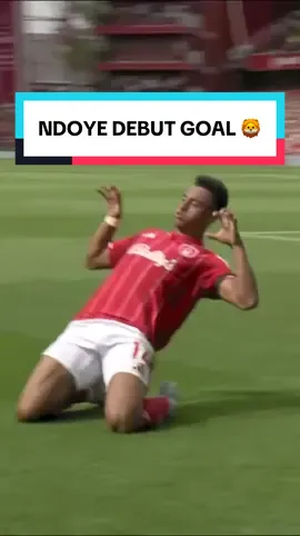 Dan Ndoye’s debut goal! 🦁 #nffc #pl #PremierLeague 