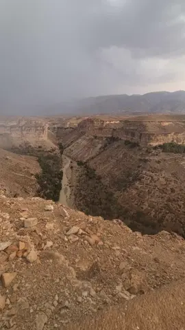 الجزائر 🇩🇿 تونس 🇹🇳 فلسطين 🇵🇸