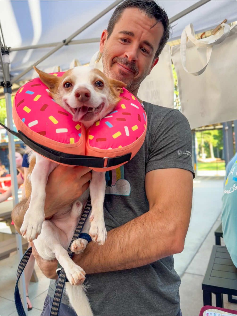 Every day is a good day to be Jaqweenie but this was an especially good one!  #rescuedog #derpydog #rescuedismyfavoritebreed #chihuahua  