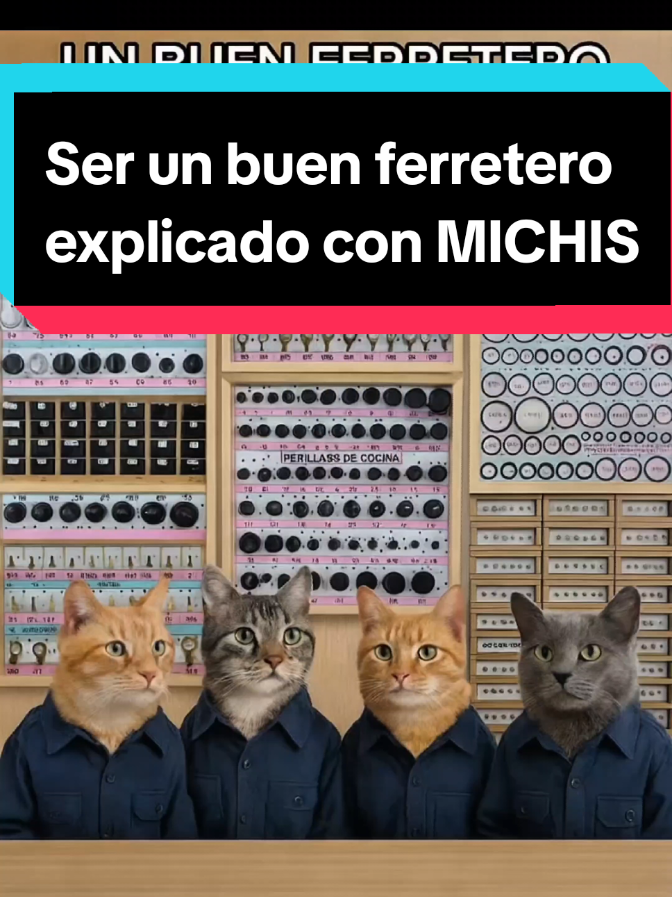 Ser un buen ferretero explicado con Michis. Un día siendo un ferretero Michi #michi #ferretero #maxifer #humor #ferreteria 