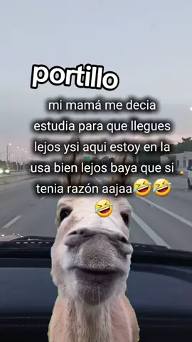 #CapCut #Meme #humortiktok🤣😜😅😂🤪 #MemeCut #humortiktok 
