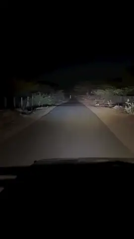 What’s there in the road..! 🤯 #shorts 