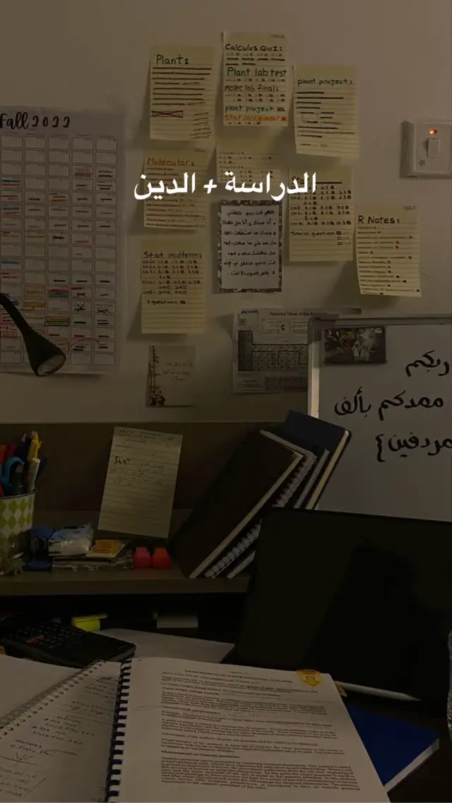 #دين #دراسة_مدرسة #دراسة #معلومات #نضام_دراسة 