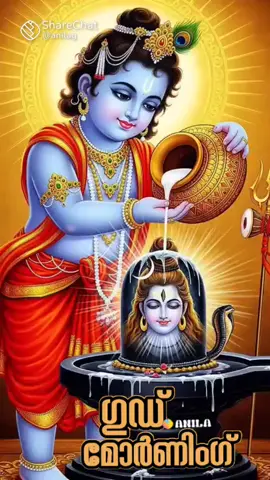 ഭഗവാനെ കൃഷ്ണ കൂടെയുണ്ടാകണേ 🌹🙏🌹🙏🌹🙏🌹🙏ശുഭദിനം കല്യാൺ pvr 