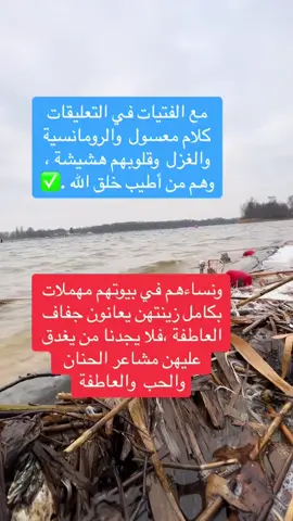 #أبلغكم #المدينة_المنورة #السعودية🇸🇦 