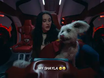 i would die for this dog!!! #superman #kryptothesuperdog #fyp #trending #viral 