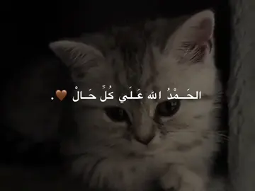 #tiktok 