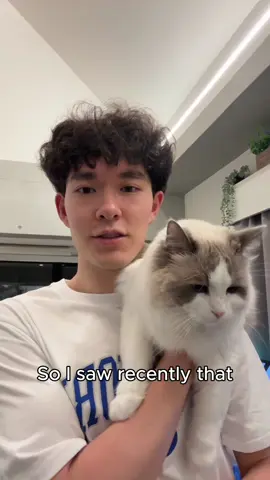Putting Tape on a Cat? #cat #fyp #funnycat #catsoftiktok #cats