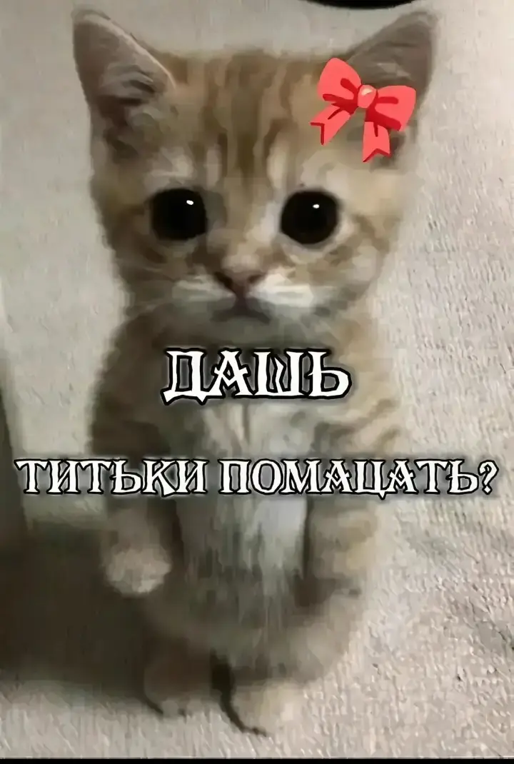 ну а вообще то мы с ней встречаемся @Tik Toker 
