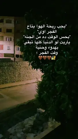 #توشيح_الفجر #foryou #foryoupage 