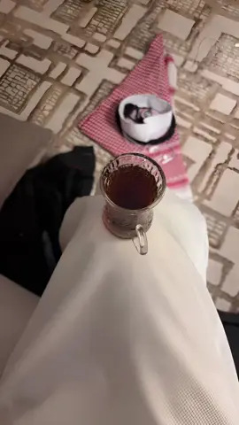 رأيكم 🤳 ؟ #ترند #ترندات_تيك_توك #fyp #FunkNoCapCut #foryou #الرياض #CapCut 