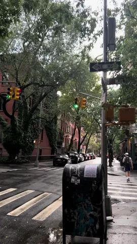 #westvillage #westvillagenyc #newyork #newyorkcity #fyp 