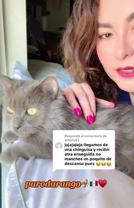 Respuesta a @antony83 #divercion🤣🤣🤣🤣 #saludos✌🏼👍🏼👍🏼 #salgoenparati💟 #fypviraltiktok🖤シ゚☆♡ #humortiktok 