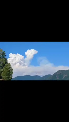 #forestfire #foryourpage #fyp #wynoochielake 