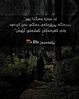 #tiktok 