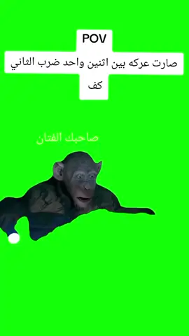 #سوي_تاك_لصديقك_الفتان 😂 #الشعب_الصيني_ماله_حل😂✌️  #مليخلق_احط_هاشتاق💙🚶🏻‍♂️ 