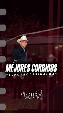Los Mejores Corridos “Chuy Y Mauricio” 🤠 #elpotrodesinaloa #corridos #chuyymauricio #potro #elpotro 