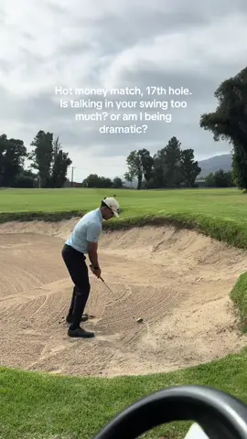 Is not talking during a swing still standard golf etiquette, or am I being dramatic? Still threw a dart. #golftiktok #golfswing #golftok 