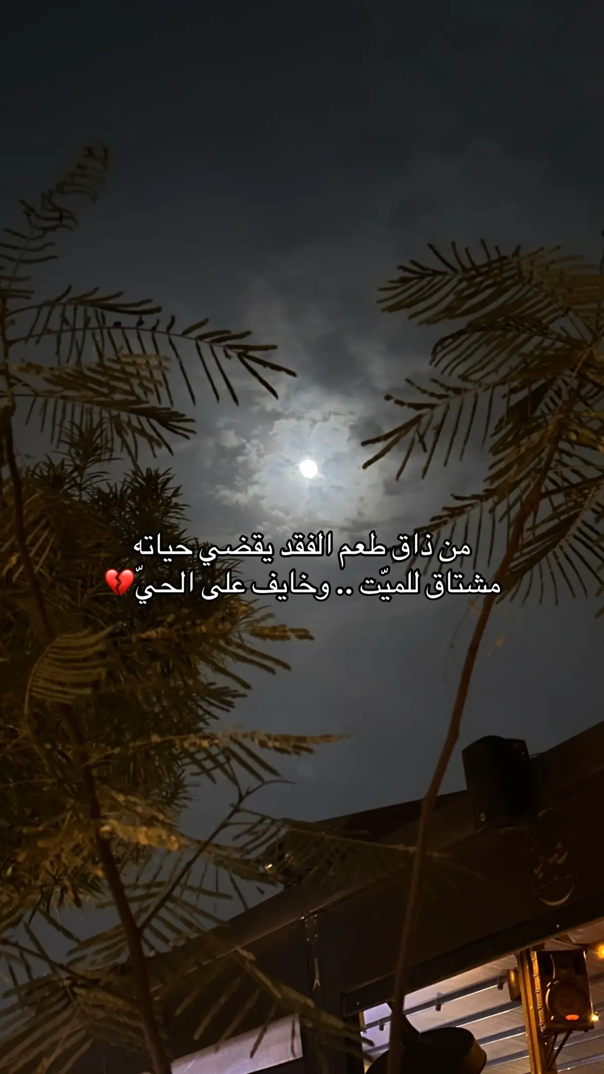 #اكسبلورexplore #ترند_تيك_توك #تصويري #فقيدة_قلبي 