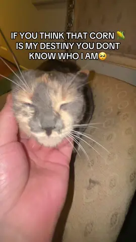 You don’t know who I am🥺