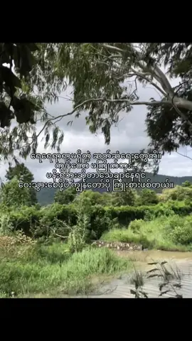 #lyrics #xyzbca #viral #foryou #crd 