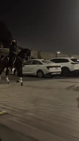 الششيوخ صلاتي ع النبي 🤎🤎🤎👋🏻 @حَ #trending #4u #like #foryou #viral 