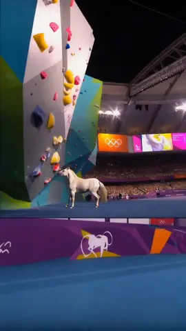 Create viral videos with AI Studio - AI Video Generator #olimpiadas #ai #olympic 