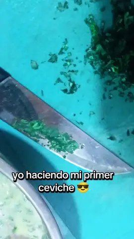 creo que falle en algo  pipipi #tiktok  #videoviral  #funny 