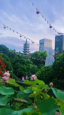 Thức giấc, lễ Phật, ngắm sen, ngắm lỗi chính mình, ngắm sự ngược xuôi của nhận thức rồi nhận lầm là trôi chảy, thuận duyên, ngắm cái thanh yên nơi tĩnh và tự xoa dịu để thấy những vết thương âm ỉ, ngắm tâm tham bản thân ngày đêm chờ đợi vạn thứ theo ý mình, ngắm cái lẻ sống đầy sắc màu nhưng vì chút bất như ý mà ta định đoạt chúng đầy cô liêu, vắng lặng, cứ thế ngắm nhìn. Hồi hướng thời thiền tới vạn pháp #adidaphat 