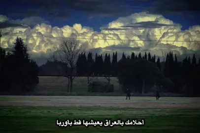 أحلامك بالعراق يعيشها قط بأوربا