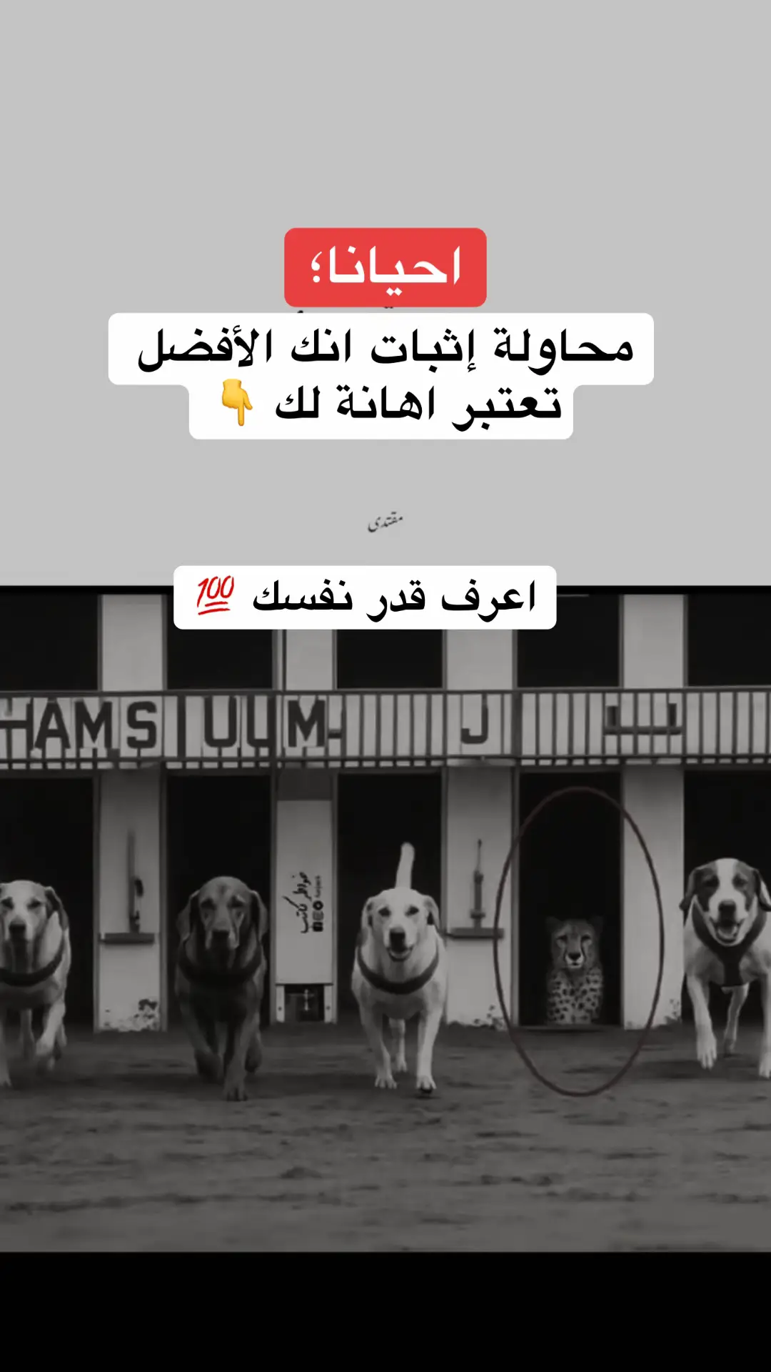 #اكسبلور  #fyppppppppppppppppppppppp  #ترند 
