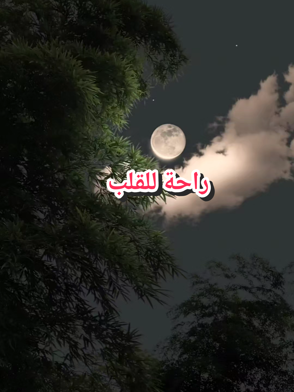 استمع ليطمئن قلبك #قران #قران_كريم #تلاوة_خاشعة #متعة_الابداع 