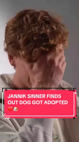 Jannik Sinner reacts to finding out a dog he met in Cincinnati was adopted by a security guard 🙌 (🎥: Cincinnati Open / X) 