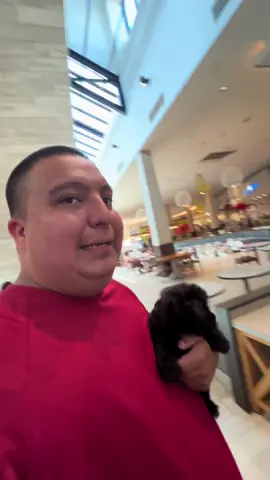 Fuimos al río con el perrito y nado en el río y la pasamos bien #foryou #fyp #parati #viral 