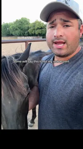 The boo boo #horses #aqha #caballos 