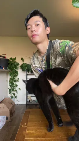 Made a new friend #cat #catlover #funny #fyp 