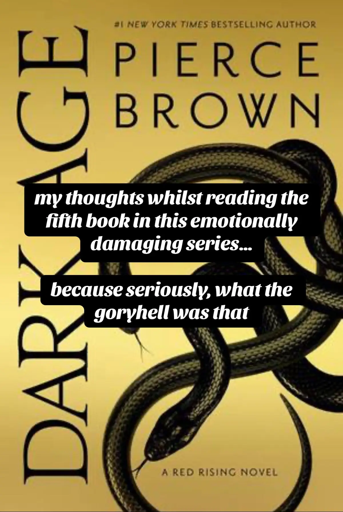 #redrising #redrisingseries #darkage #piercebrown #BookTok 