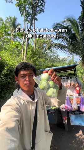 Lalaban sayur terutama sing mangane mentahan palanga dikumbah disit bunda sedurunge dikonsumsi #sayur #sayuran #lalapan #bakulsayur #pemalang 