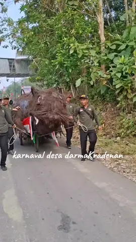#karnaval #darmakradenan #ajibarang #17agustus #merdeka karnaval grumbul karang Pucung darmaKradenan 17agustus2025