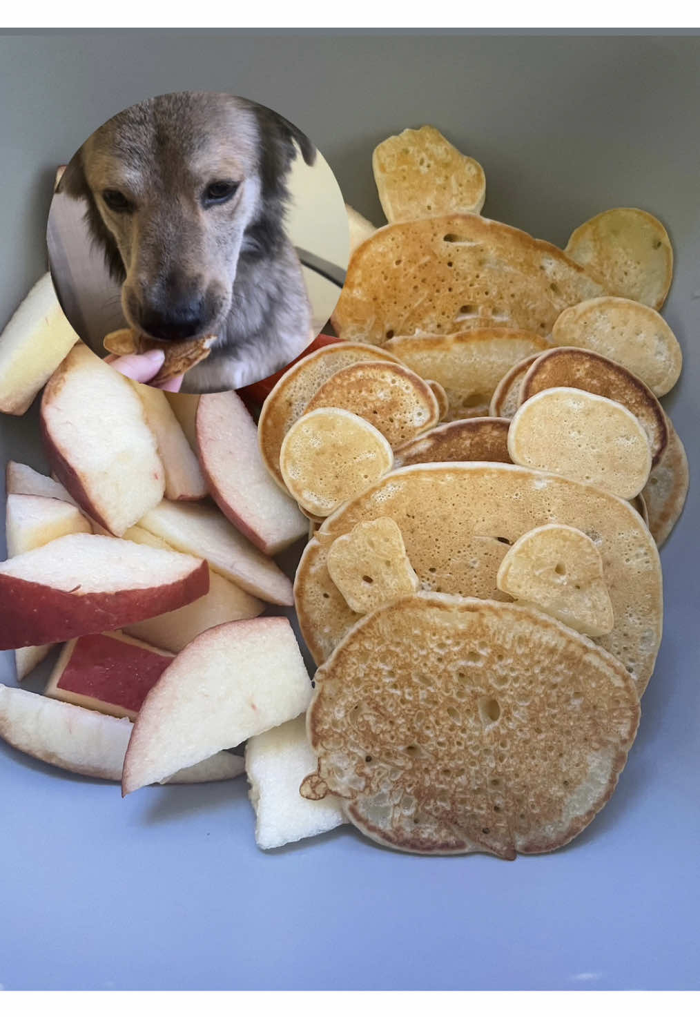 Respuesta a @Bolitadepelo #paratiiiiiiiiiiiii #fyp #viraltiktok #comida #dog  Listo gente de tik tok jaja ya le di🫶🏻🥰