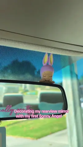 I lowkey want another one. I see why y’all be addicted to buying Sonny Angels. My new personality unlocked?? 😭 @sonnyangel.usa #sonnyangel #sonnyangelhippers #sonnyangeltok #kawaiicore #sonnyangeldreaminghippers 