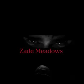 The original stalker 🙇‍♀️#zademeadows #stalker #hauntingadeline #darkromance #draymology 
