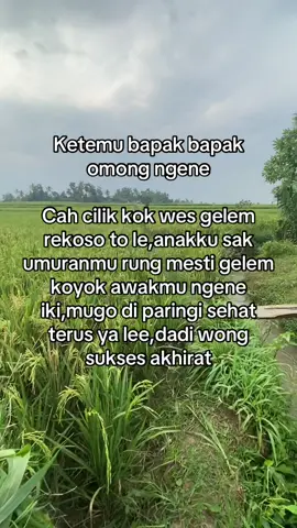 #peternak #peternaksapiindonesia #ngaritsukettttt #fyppppppppppppppppppppppp #masukberandamuu 