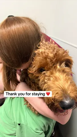 Vet bills aren’t cheap, but thanks to TikTok, every view helps creators earn. #vet #icu #sickdog #savemydog #goldendoodle 