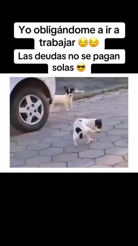 Vámonos pues … así quien se resista !!! 🤣🤣🤣##CapCut #capcut?viralvideo😍😍😍🤗🤗🤗 #fuppppppppppppppppppppppppp #funny #paratiiiiiiiiiiiiiiiiiiiiiiiiiiiiiii 